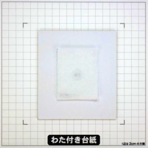画像4: 傘とつばめ