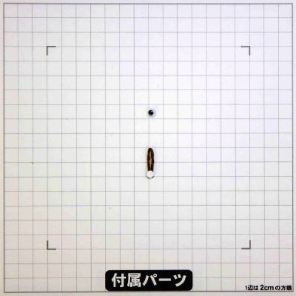 画像4: 雨と睡蓮 (4)