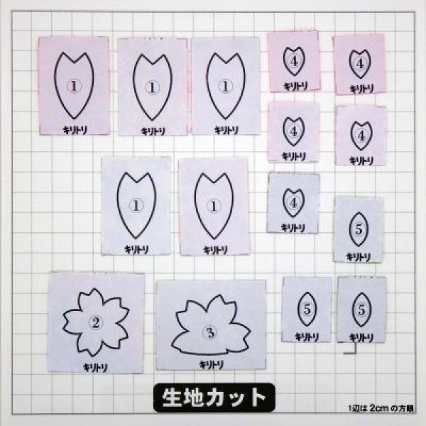 画像3: 夜桜 (3)