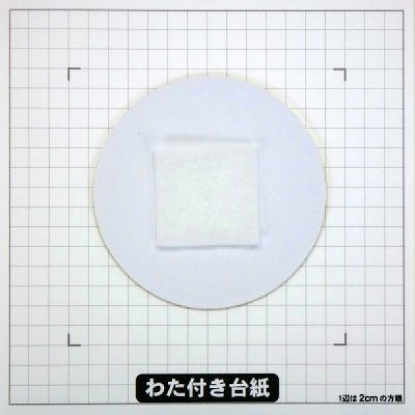 画像5: 夜桜 (5)
